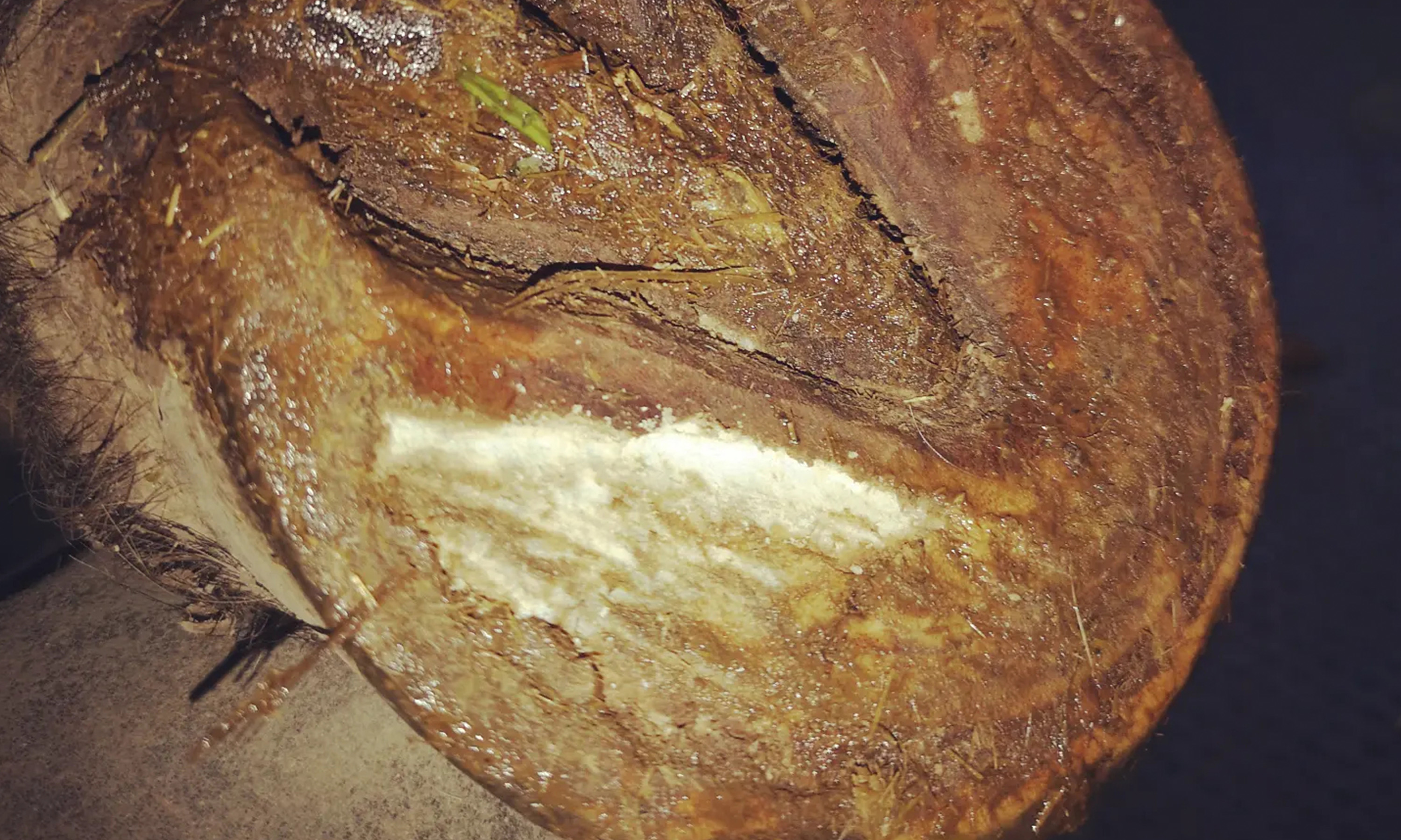 Ein Huf vor der Suche nach einem Hufgeschwür von unten