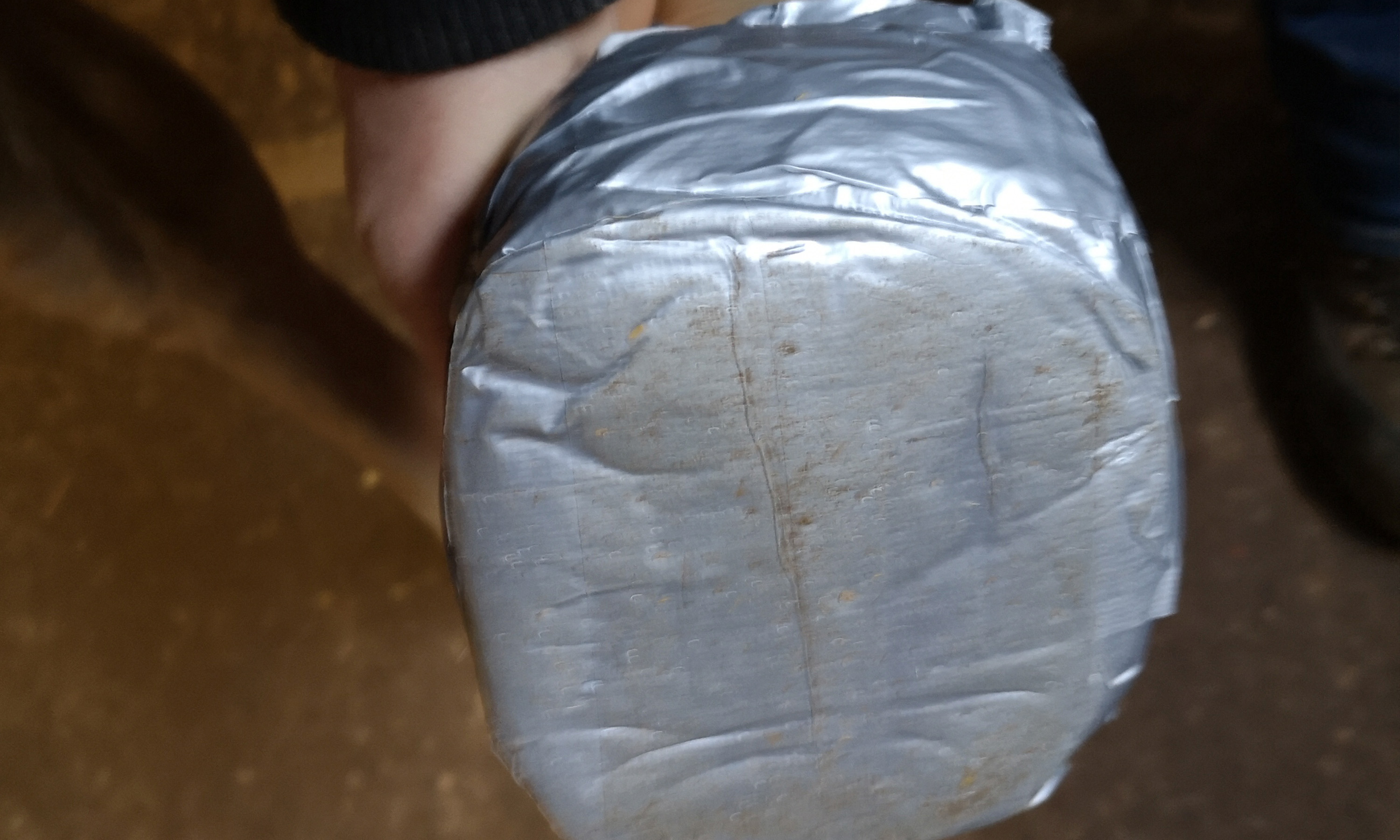 Ein Polsterverband zur Behandlung einer Sohlenlederhautentzündung oder einer Hufrolle von unten