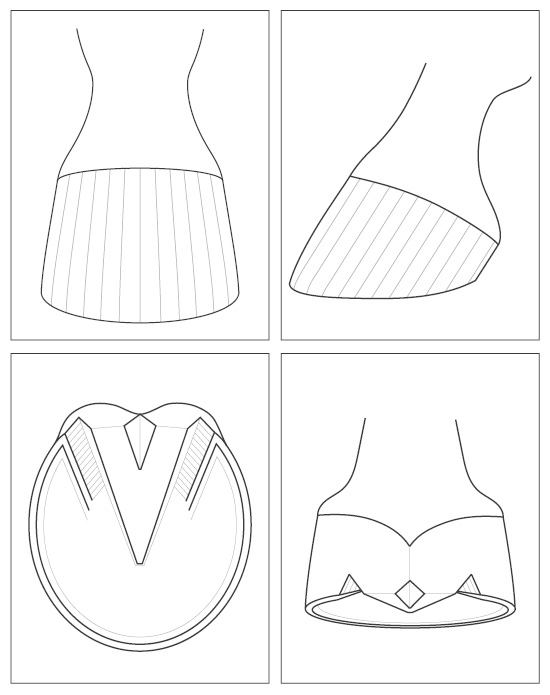 Illustrationen von einem vitalen Huf in Balance