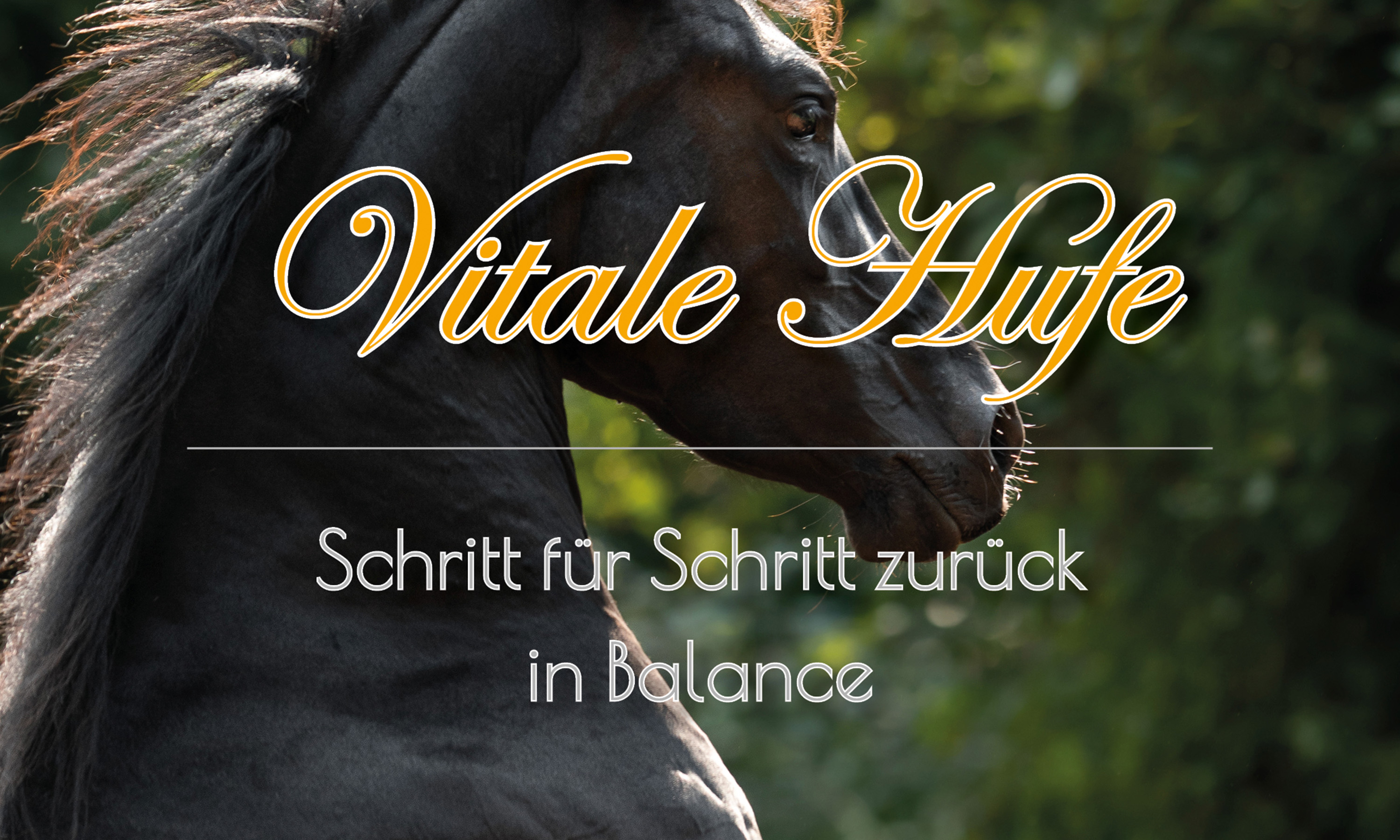 Titelbild des Buches Vitale Hufe