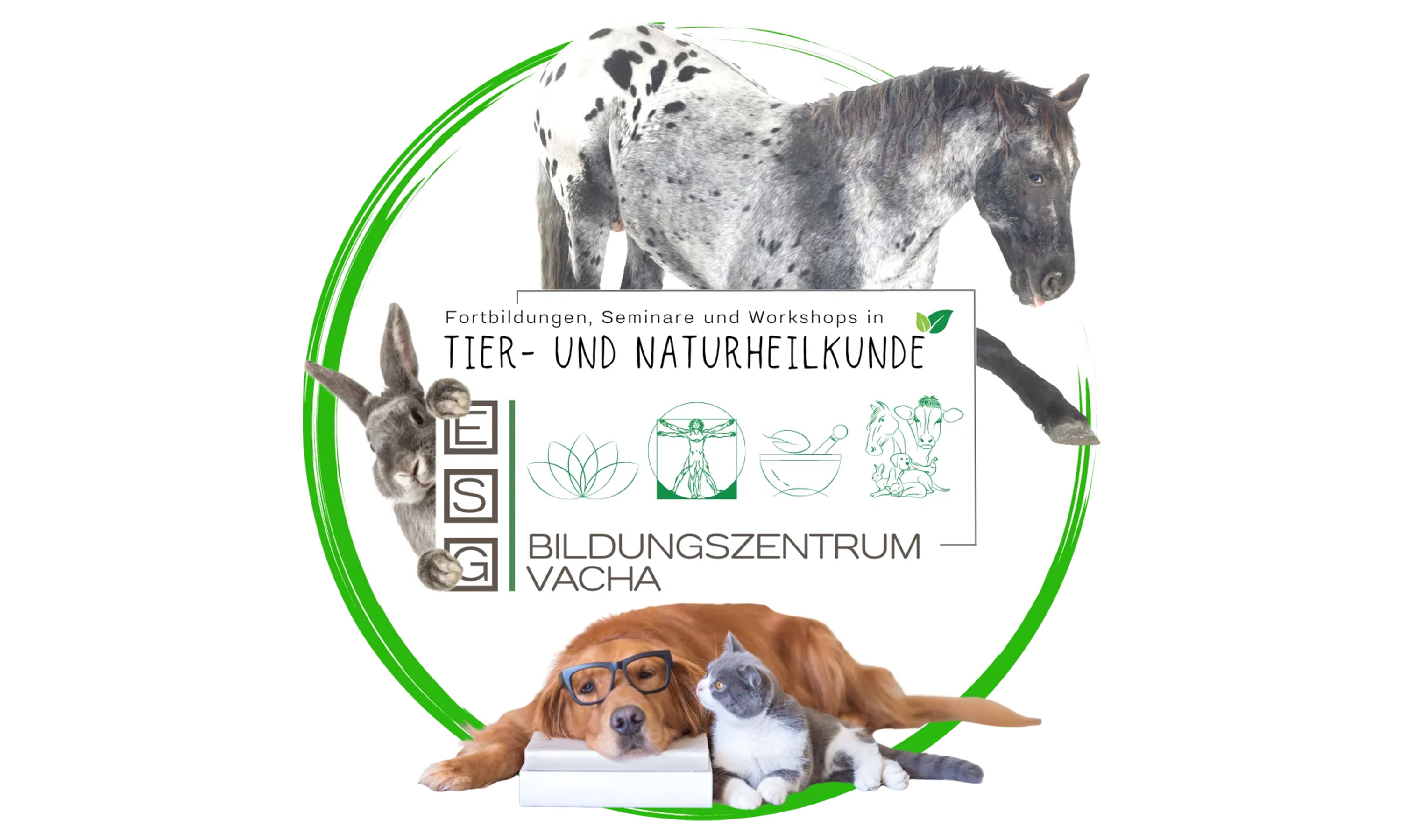 Logo des ESG Bildungszentrum für Tier- und Naturheilkunde in Vacha